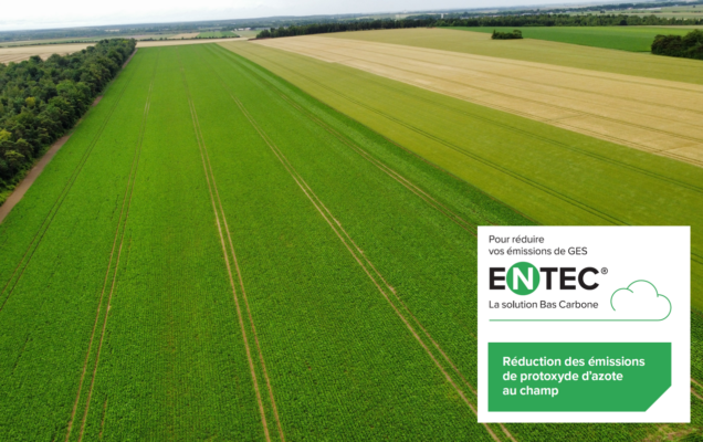 ENTEC®, des atouts agronomiques et environnementaux