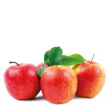 Arbres Fruitiers