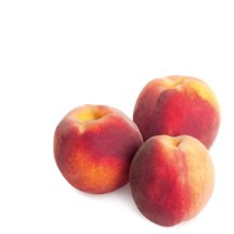 Arbres Fruitiers